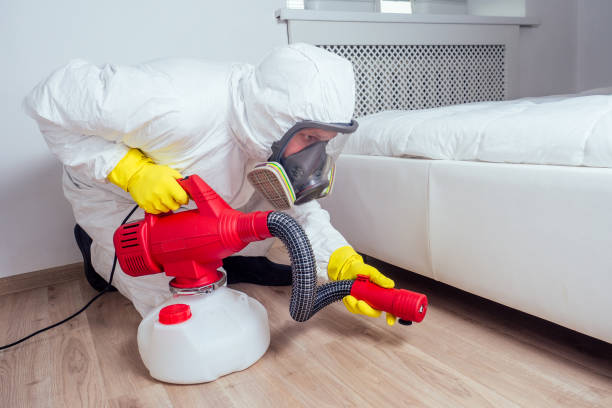 Flea Control Services in Kalona, IA