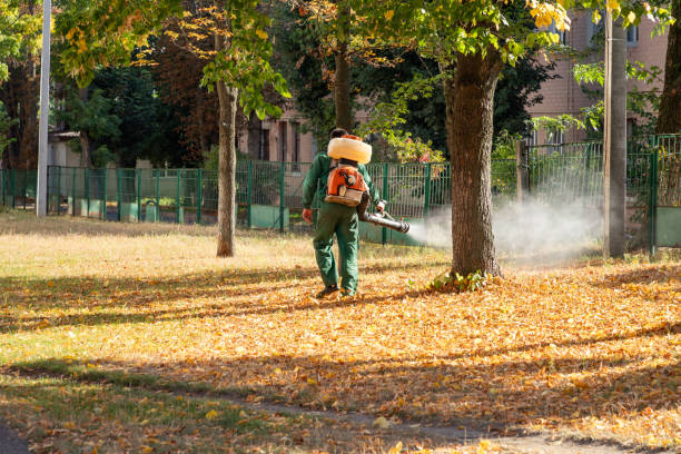 Best Residential Pest Control  in Kalona, IA