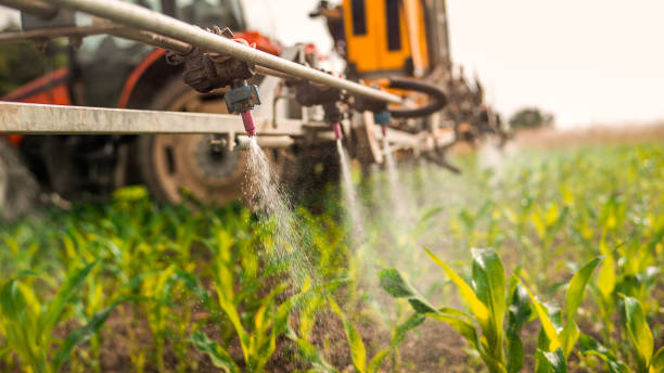 Pest Control for Restaurants in Kalona, IA